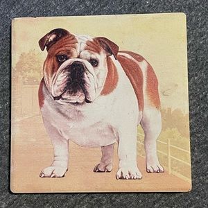 English bull dog coaster